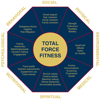 Total force fitness mandala