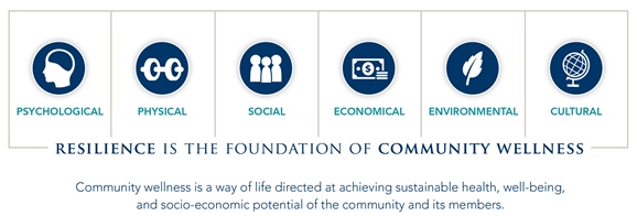 Community Wellness pillars