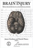 Brain Injury Book Cover